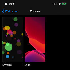 New Wallpapers Missing On Iphone 11 Pro Max 13 1 Beta 4 Macrumors Forums