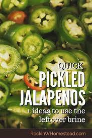 Quick Pickled Jalapenos How To Use The Juice Rockin W Homestead Pickling Jalapenos Pickles Jalapeno Recipes