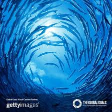 If We Want To Protect Life Below Water We Need To Tell Everyone About Theglobalgoals Now Nature Ocean Creatures Water