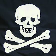 Pirate Edward England Flag (various Sizes) : Handsewn, Jolly Roger Flag,  Handmade in the USA