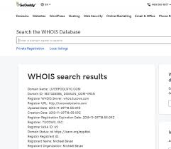 Who Owns My Domain Name And How Do I Recover It