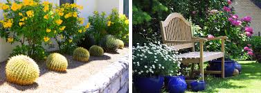 What flowers grow best in arizona. How Yard Direction Impacts Sun And Shade Summerwinds Az