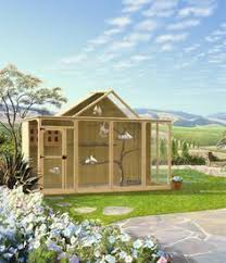 Create Your Own Bird Aviary Illustration Courtesy Of Julia Green Via Mickacoo Pigeon And Dove Rescue And Adoption Center Bird Houses Bird Aviary Bird House