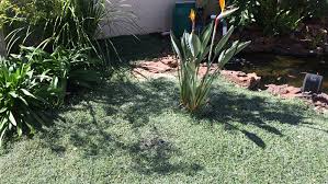 Check out our small garden ideas selection for the very best in unique or custom, handmade pieces from our garden decoration shops. A Truly Low Maintenance Garden Diy Grounded Landscaping