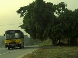 There is a bit of sharing from tanjung malim, perak. A Tree In Tanjung Malim Short 2004 Imdb