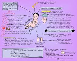 Newborn Assessment Newborn Assessment Newborn Nursing Pediatric Nursing Student