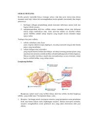 Secara sederhana lengkung refleks terdiri dari organ reseptor, neuron aferen, neuron efektor dan organ. Case 6 Makalah Pdf