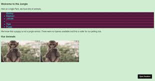 Zoo-HTML-CSS