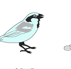 Ab und zu ein stückchen brot kleingemacht unter die samen gemischt, wird keinem vogel schaden. Biologie Was Ware Wenn Es Keine Vogel Mehr Gabe Welt