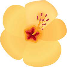 Free Image On Pixabay Hibiscus Flower Hawaii Bloom Hibiscus Free Graphics Vector Free
