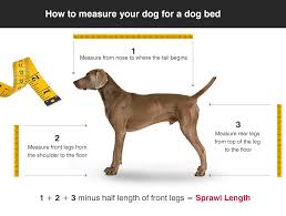 dog bed size guide