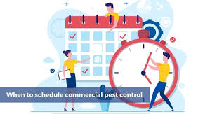We've selected the best pest control services available in most states, but there are many local providers that we simply haven't had the opportunity to assess. Why Is Pest Control Important In Office Rentokil Singapore