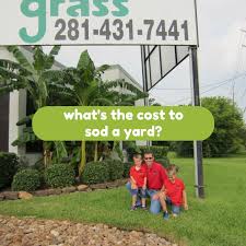Check spelling or type a new query. What S The Cost To Sod A Yard Houston Grass Pearland Sugar Land
