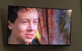 Chris's Fun Halloween Costume as Luke Duke