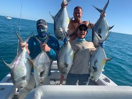 Maybe you would like to learn more about one of these? Fishing Inshore Offshore Ami Remains Hot All Over Anna Maria Island News