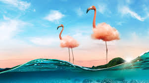 Peer into Ted Chin's exquisite, surreal dreamscapes.