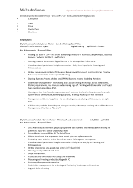 Business Analyst Cv