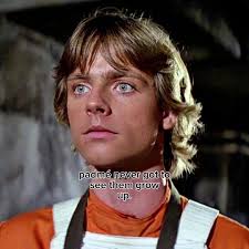 Anakin and Padme Making Luke and Leia