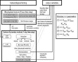 So any successful scientific hypothesis about the origin of life must explain. Optimizing A Process Based Ecosystem Model With Eddy Covariance Flux Measurements A Pine Forest In Southern France Santaren 2007 Global Biogeochemical Cycles Wiley Online Library