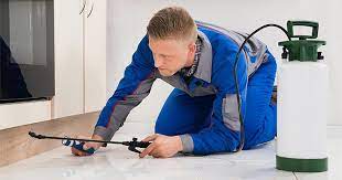 They wanted to start a pest control company where he could use the knowledge and experience he you'll get quality, personal pest control service every time. Pest Control In Lake Worth Beach Palm Beach County Fl