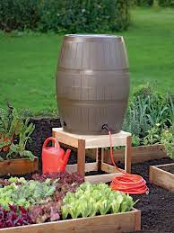 Rain Barrel Stand In Cedar Backyard Vegetable Gardens Vegetable Garden Design Veggie Garden