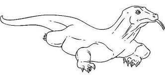 The komodo dragon is the largest living reptile in the world! Drawing Komodo Dragon Drawing Step By Step