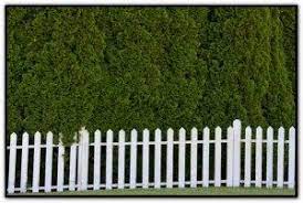 Maybe you would like to learn more about one of these? What Is The Most Low Maintenance Fence Material