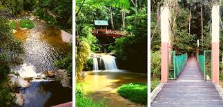 You may also want to coincide your visit with the highlands harmonica festival in july, or the flower festival that runs in either august or september. 35 Tempat Menarik Di Cameron Highland Edisi 2021 Yg Popular