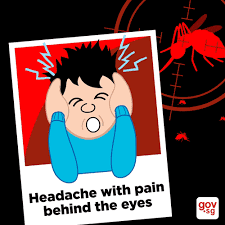 Check spelling or type a new query. Gov Sg Fight Dengue Now