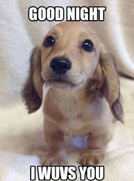 43 Best Funny Goodnight Memes You Must See Memes Meme Funny Fail Epic Awkward Humor Fun Funnypics Fu Good Night Funny Good Night Meme Cute Good Night