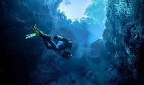 Here he is extremely old (over 150.) Deep Blue Sea The Terror Of Working Three Miles Under The Sea Nature News Express Co Uk