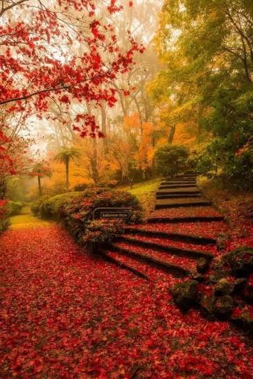 Australia's natural beauty attracts explorers