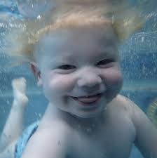 Lane Springer's Instagram, Twitter & Facebook