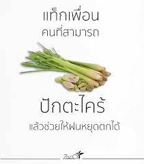 ช วงน ฝนตก น ำท วมหลายพ นท อาจจะต องให เพ อน ช วยแล วล ะ zazio ซาซ โอ เส อโปโลเพ มส ข