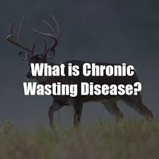 Mdwfp Chronic Wasting Disease