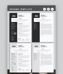 best professional business resume (cv