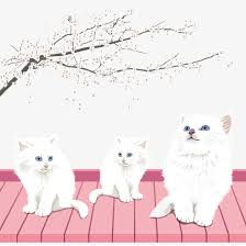 Search for text in url. ç™½çŒ« ç´ æ å…è´¹ç™½çŒ«å›¾ç‰‡ç´ æ ç™½çŒ«ç´ æå¤§å…¨ ä¸‡ç´ ç½'