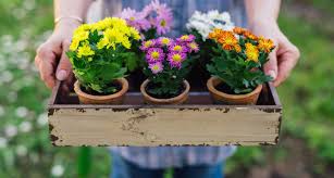 Apr 28, 2020 · to paint flowers, first paint a few vertical curved lines using green paint for the stems. Types Of Flowers By Color Proflowers Blog