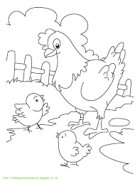 Pin Di Ayam