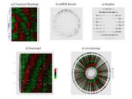 Image result for bioinformatics heatmap