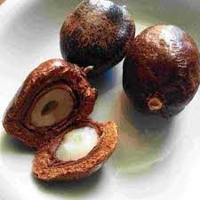 Tahukah anda bahawa kebolehan membiak ialah satu kurniaan tuhan yang patut disyukuri. Ini Khasiat Buah Pohon Zuriat Bagi Kesehatan Dan Kesuburan Kaum Hawa Era Id