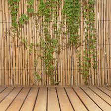 Grow a bamboo fence with help from an author and garden adviser in this free. Backyard X Scapes 6 Ft H X 16 Ft L Natural Jumbo Reed Bamboo Fencing 20 Br6 The Home Depot
