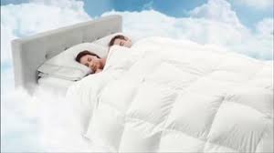 We did not find results for: The Company Store Lacrosse Comforters Tv Commercial Best Friend Ispot Tv