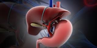 Hepatitis akan memicu peradangan pada hati dan liver sehingga fungsi hati sebagai penyaring racun akan terganggu. Kenali Perbedaan Hepatitis B Dan 5 Jenis Lainnya Yang Penting Untuk Diketahui Merdeka Com