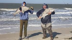 Most anglers like to cast their bait way out beyond the second sand bar in hopes of catching a fish. Fall Surf Fishing And Tackle Talk For Gulf Shores Alabama Surffishing Gulfshores Youtube
