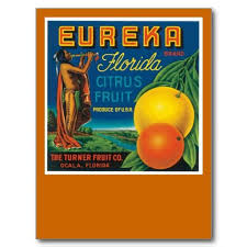 Eureka Florida Citrus Fruit Postcard Zazzle Com Fruit Crate Label Crate Label Vegetable Crate Labels