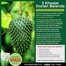 Kini sudah ada alternatif terbaik dan termurah untuk mendapatkan khasiat daun durian belanda tanpa perlu bersusah payah lagi. Booster Tanaman Anda Khasiat Durian Belanda
