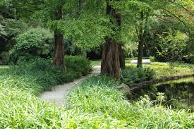 We have reviews of the best places to see in arcen. Der Schlossgarten Von Arcen Cronhill