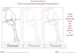 Birds coloring pages for kids. Birds Coloring Pages For Kids Parrot