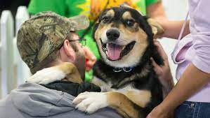 See more of pet adoptions india on facebook. Indy Mega Adoption Event 2019 Over 1 000 Dogs And Cats Need Homes